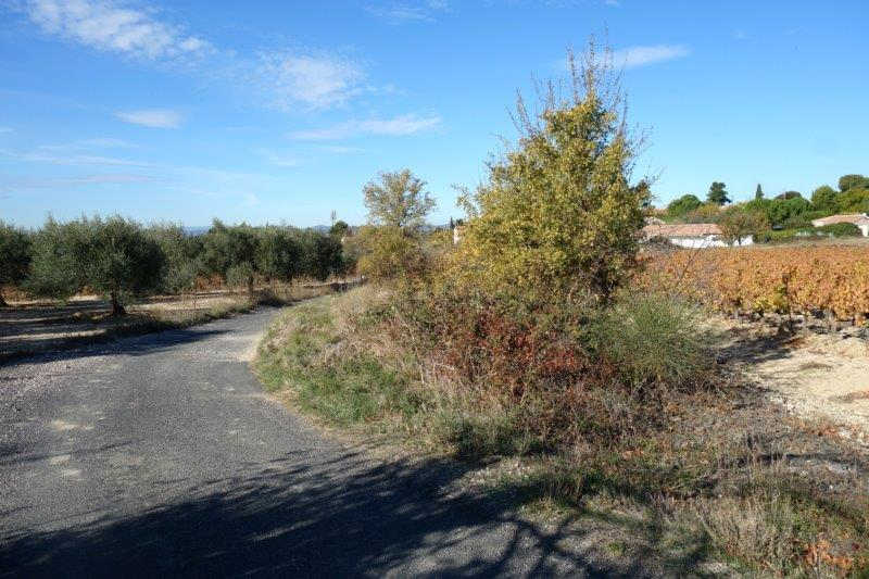 Agrandir l'image De la gare de Villeveyrac à la gare de Saint-Pargoire