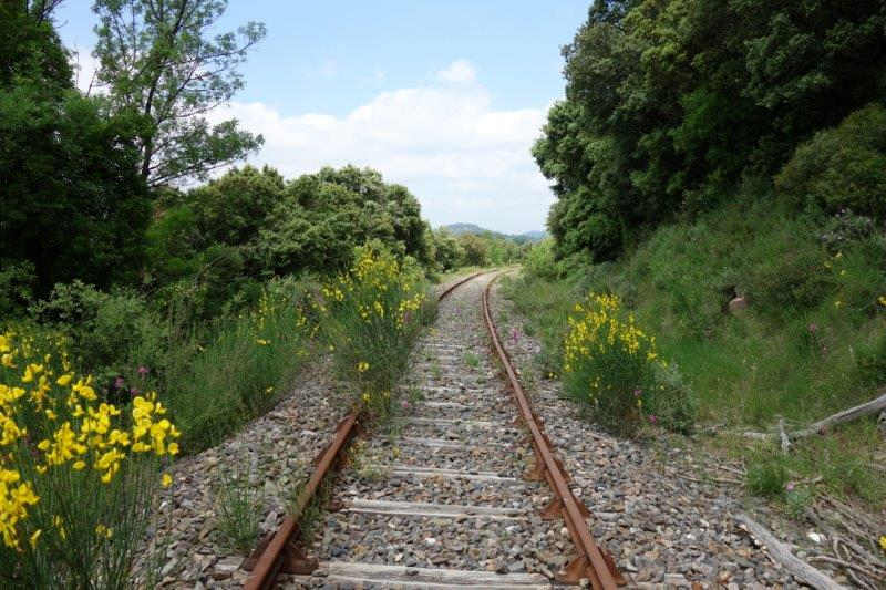 Agrandir l'image De la halte de Cabezac à la gare de Bize