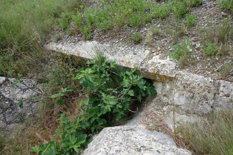 Agrandir l'image De la halte de Cabezac à la gare de Bize