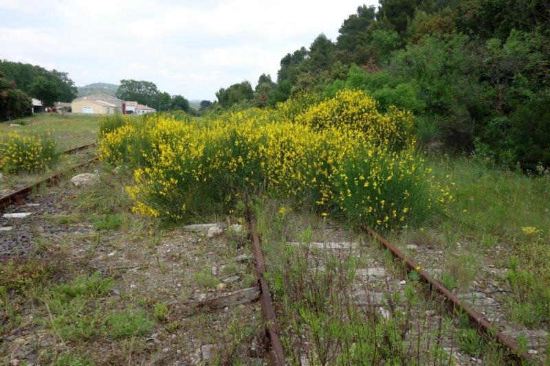 Agrandir l'image emprise de la gare de Bize