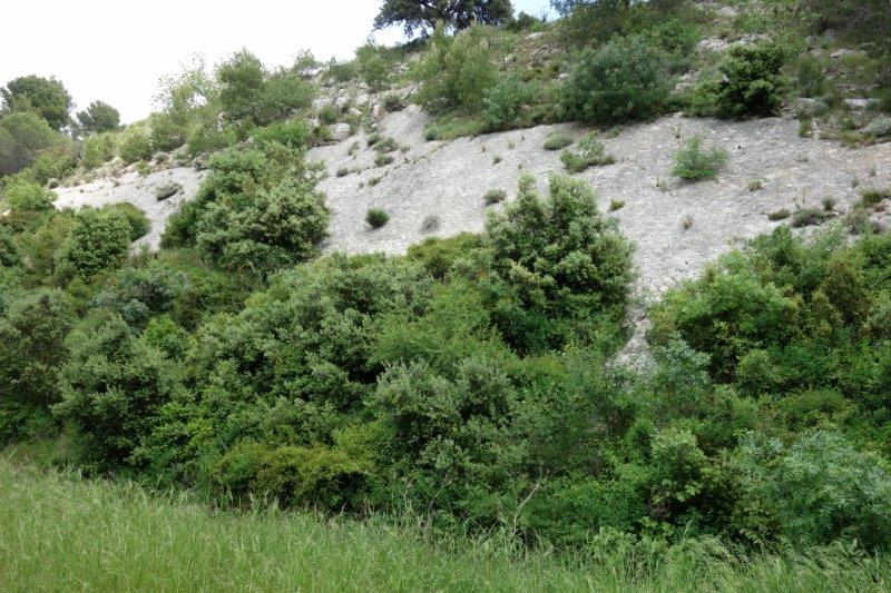 Agrandir l'image De la halte de Cabezac à la gare de Bize