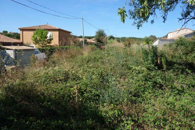 Agrandir l'image De la halte de Nizas-Bourg à la gare de Caux