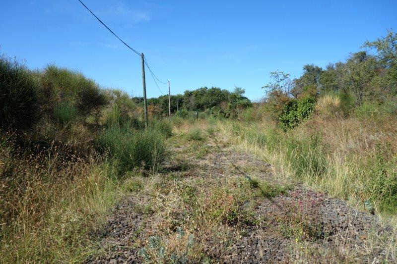 Agrandir l'image De la halte de Nizas-Bourg à la gare de Caux