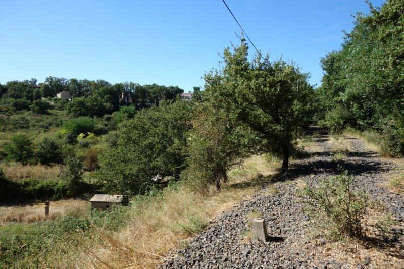 Agrandir l'image De la halte de Nizas-Bourg à la gare de Caux