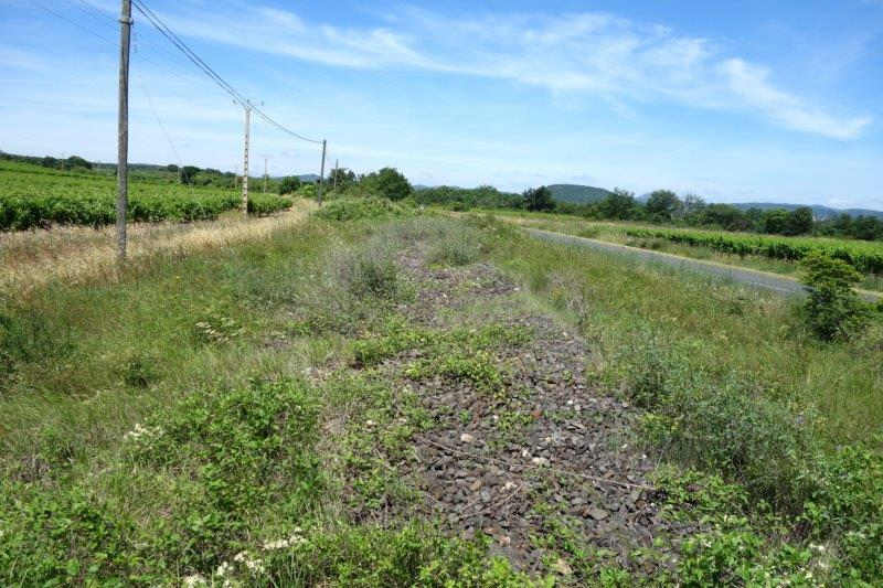 Agrandir l'image De la gare de Nizas-Fontès à la halte de Nizas-Bourg