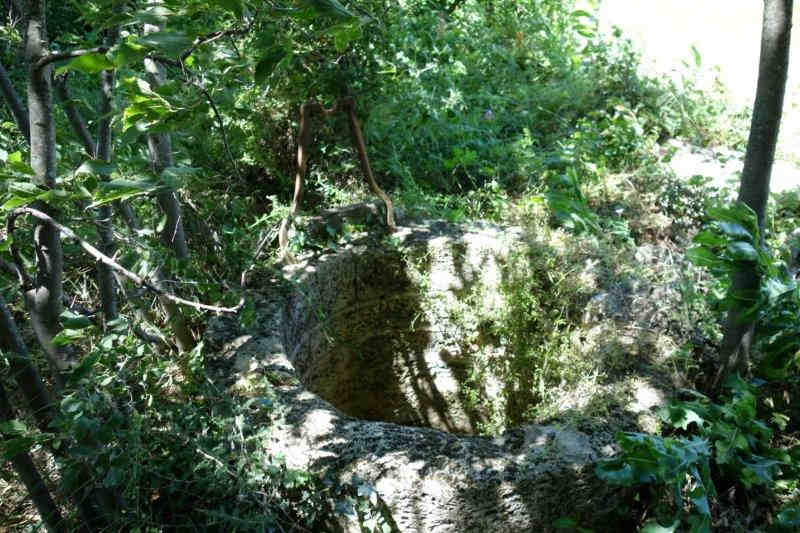 Agrandir l'image De la gare de Nizas-Fontès à la halte de Nizas-Bourg