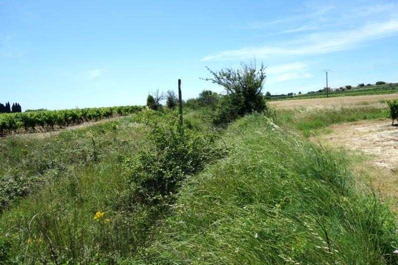 Agrandir l'image De la gare de Nizas-Fontès à la halte de Nizas-Bourg