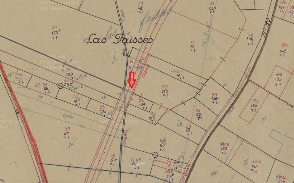 Agrandir l'image De la gare de Nizas-Fontès à la halte de Nizas-Bourg