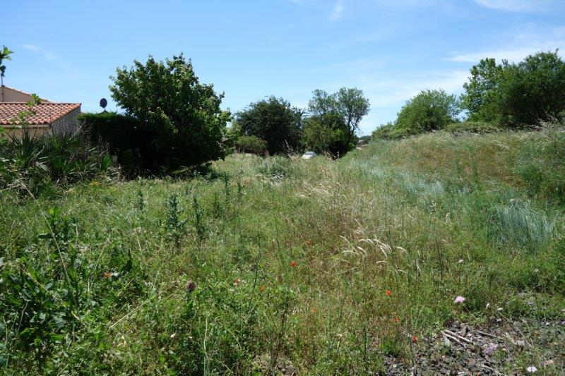 Agrandir l'image De la gare de Nizas-Fontès à la halte de Nizas-Bourg