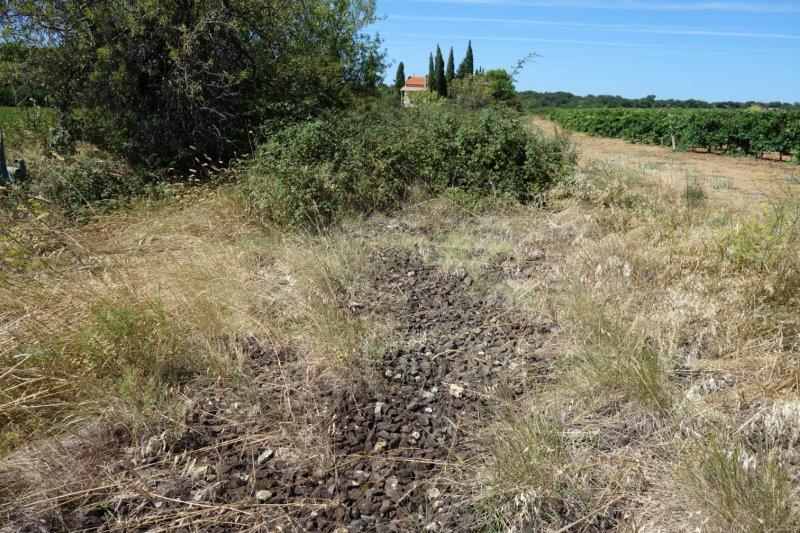 Agrandir l'image De la halte de Nizas-Bourg à la gare de Caux