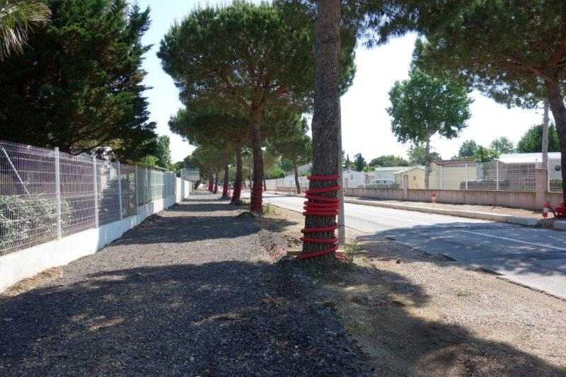 Agrandir l'image De la gare de Saint-Laurent-de-la-Salanque à la gare du Barcarès