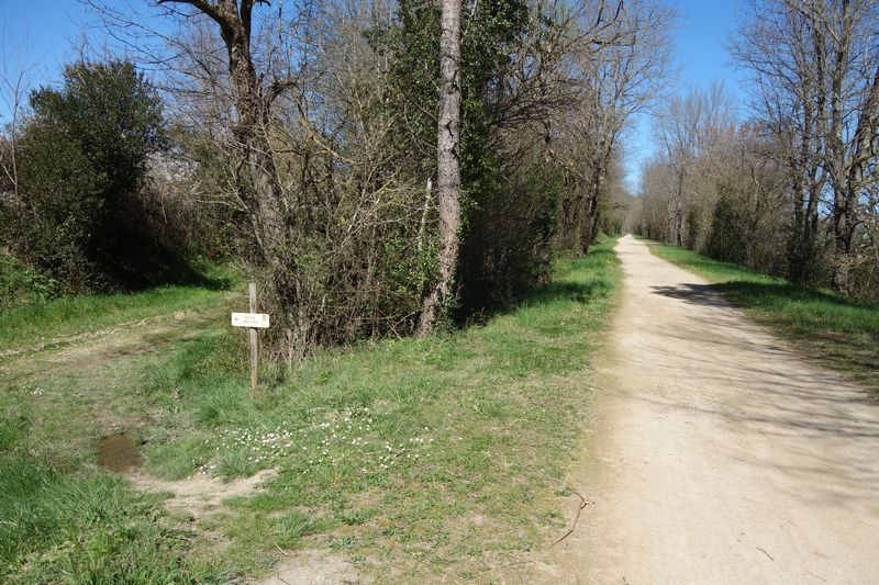 De la gare de Castres à la halte de Mandoul