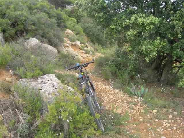 Agrandir l'image Coll de l'Abellar - ES-L- 989 mètres