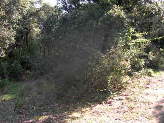 Agrandir l'image Sentier du Collet del Vent