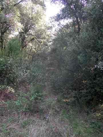 Agrandir l'image Sentier de l'invisible Collet del Vent