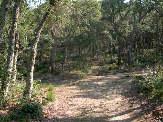 Agrandir l'image Carrefour en direction du Coll del Pare