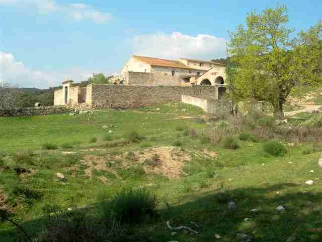 Agrandir l'image