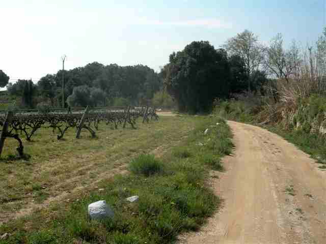 Agrandir l'image