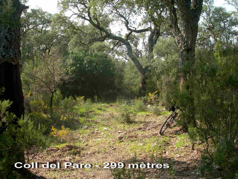 Agrandir l'image Coll del Pare - ES-GI-0299