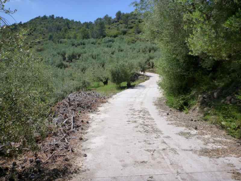 Agrandir l'image En direction du Collado de Veo