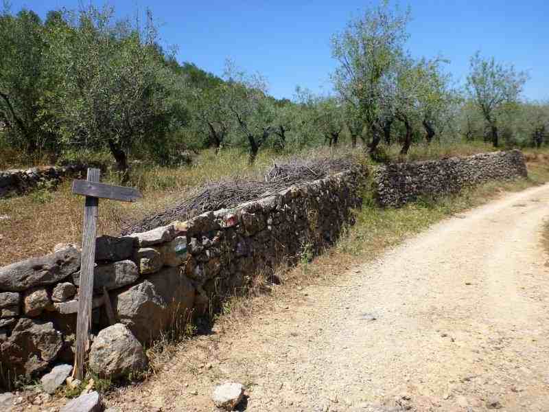 Agrandir l'image En direction du Collado de Veo