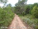Agrandir l'image Coll de Gràçia - ES-T-0595
