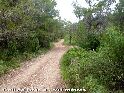Agrandir l'image Coll de Gràçia - ES-T-0595