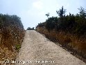 Agrandir l'image Coll de l'Aguila - ES-T-75 mètres