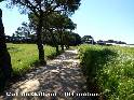 Agrandir l'image Coll de Gallemi - ES-B-0470f