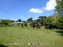 Agrandir l'image Coll de Gallemi - ES-B-0470f