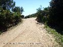 Agrandir l'image Coll de les Ermites - ES-B-0230 (Panneau)