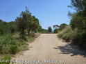 Agrandir l'image Coll de Puig Castellar - ES-B-0246