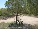 Agrandir l'image Coll de Puig Castellar - ES-B-0246