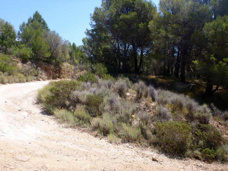 Agrandir l'image En direction du Coll d'en Peiró