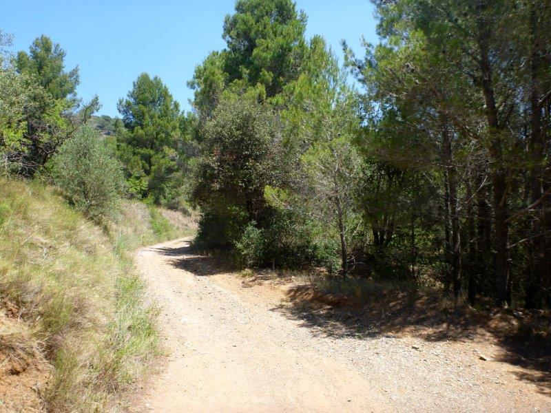 Agrandir l'image En direction du Coll d'en Peiró