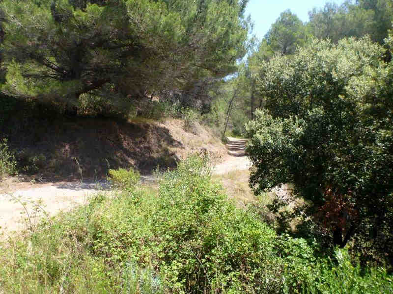 Agrandir l'image En direction du Coll d'en Peiró