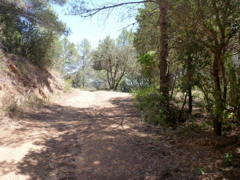 Agrandir l'image En direction du Coll d'en Peiró