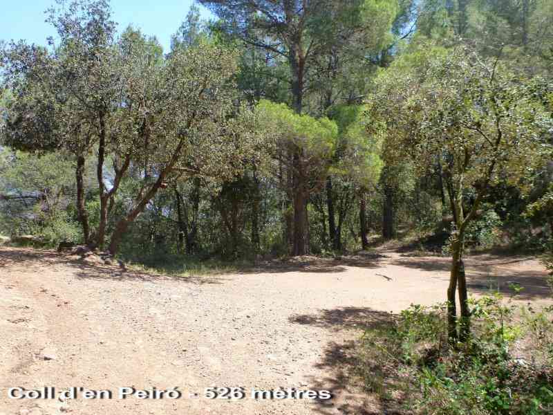 Agrandir l'image Coll d'en Peiró