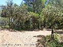 Agrandir l'image Coll d'en Peiró ou Coll de la Salve- ES-T-0526