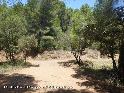 Agrandir l'image Coll d'en Peiró ou Coll de la Salve- ES-T-0526