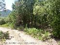 Agrandir l'image Coll del Moreno - ES-T-0798a