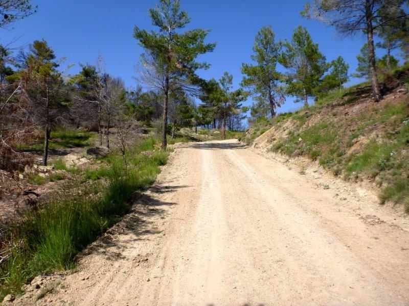 Agrandir l'image En direction du Collado de Tigüela