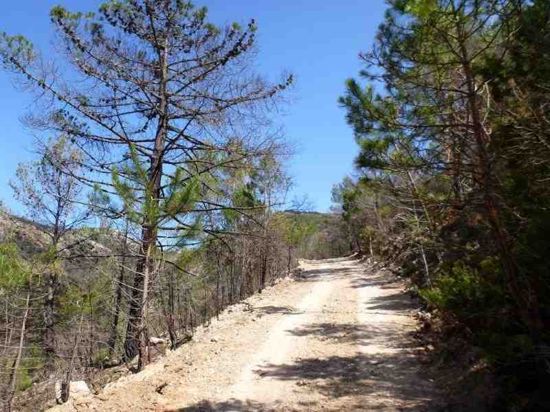 Agrandir l'image En direction du Collado de Tigüela