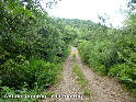 Col de Tanars - FR-34-0512