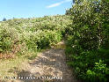 Col de Tanars - FR-34-0512