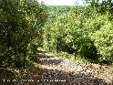 Col du Poirier ou de Perrié - FR-34-0518b