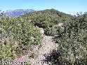 Col de Courbou - FR-34-0425