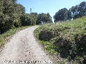 Col de Toulé - FR-34-0475c