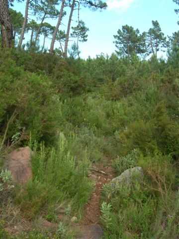 Agrandir l'image Montée au Collado Jupillo
