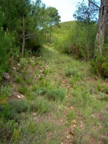 Agrandir l'image Montée au Collado Jupillo